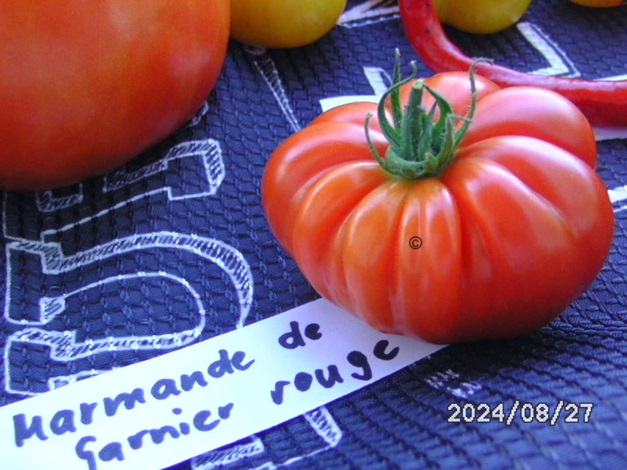 [Bild: BILD0362.jpg]