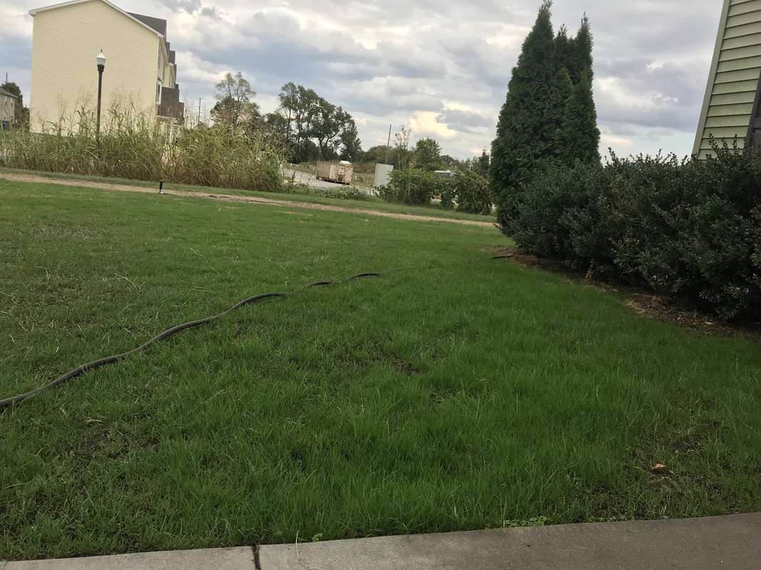 F2467E35-3A3E-409A-AD28-63D72B4F06B7