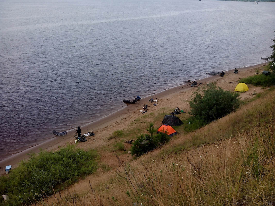 Фидерные посиделки 2015 10