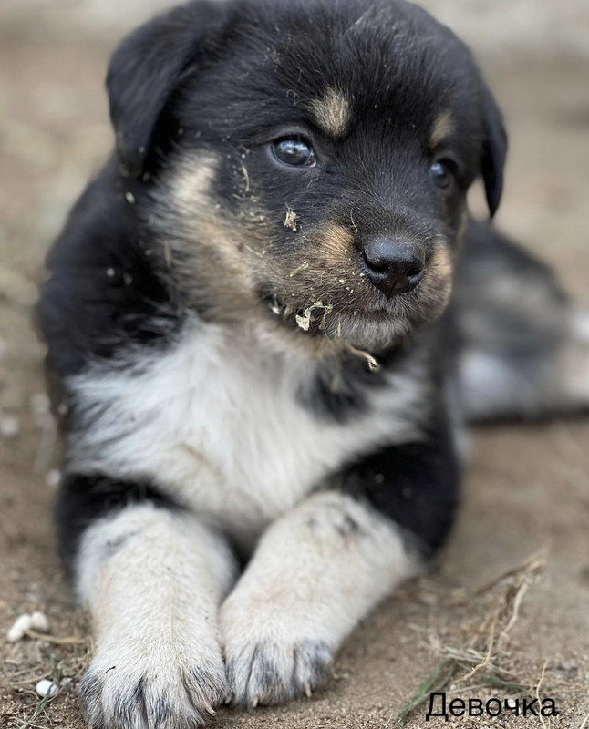 16DC632E-CF1E-46D4-A51F-75AE98041212