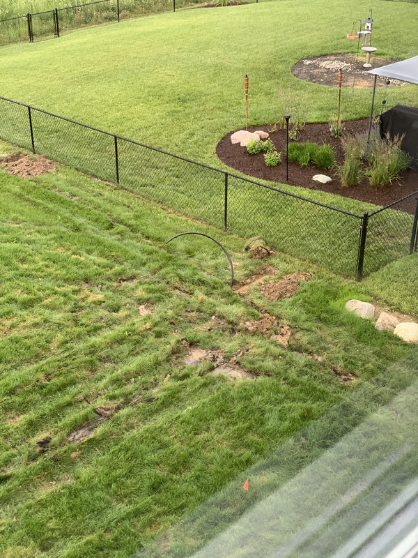 6E2665A5-4697-4189-851E-21F90C0FD354