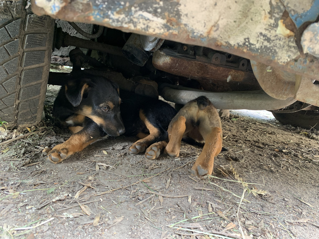 3BC21189-835D-43CA-84EF-FB94447E02DA