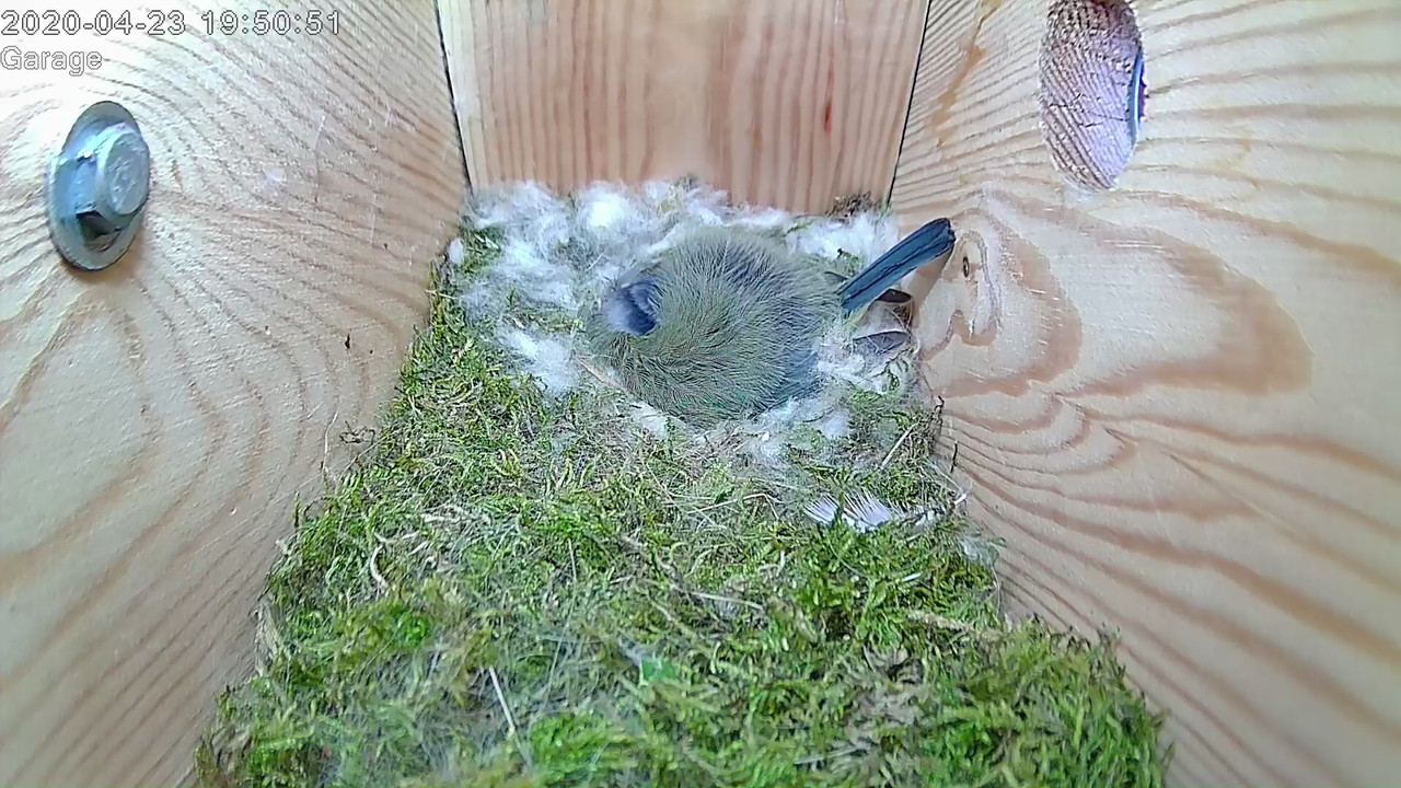 74055D48-A21F-41C7-8EBF-3A36EA34ED73