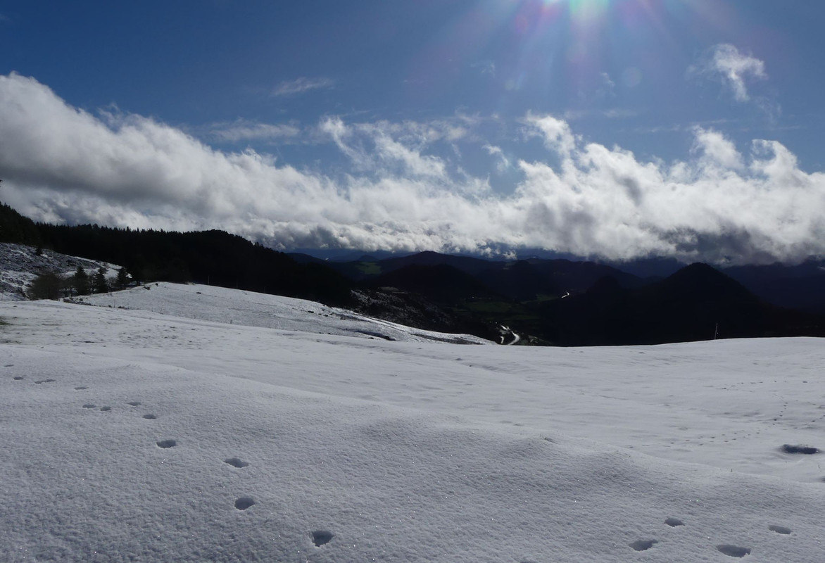 P1100432.jpg
