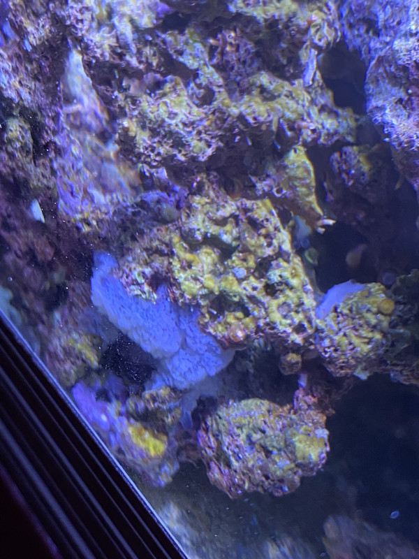 7581A48F-0B4F-464F-A67E-66FE4DD467B9