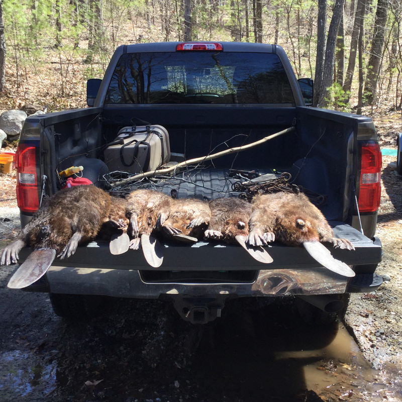 602225D5-8858-4365-AE8F-9E55D8241180