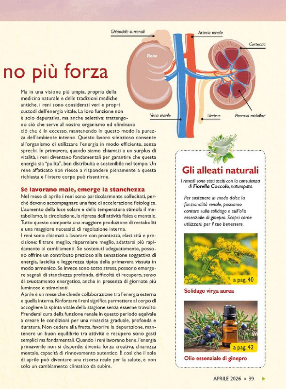 Sal Nat Apr 2026 (6)