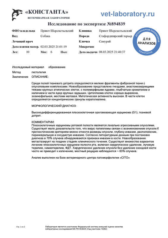 По экспертизе (894839)