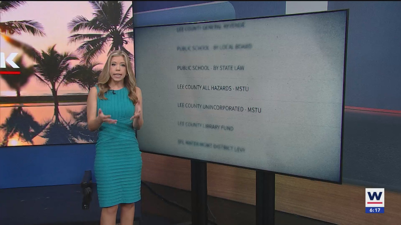 WINK News at 600am_20241206_11001130.ts_snapshot_18.21.926
