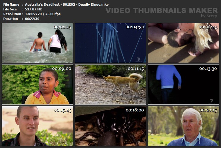 Australia's Deadliest - S01E02 - Deadly Dingo.mkv