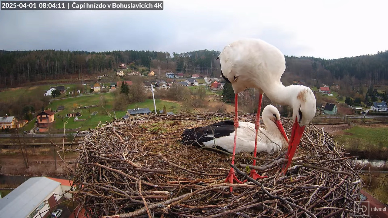 Živě z čapího komína firmy KARA v Bohuslavicích u Trutnova 10-53-0 screenshot (1)