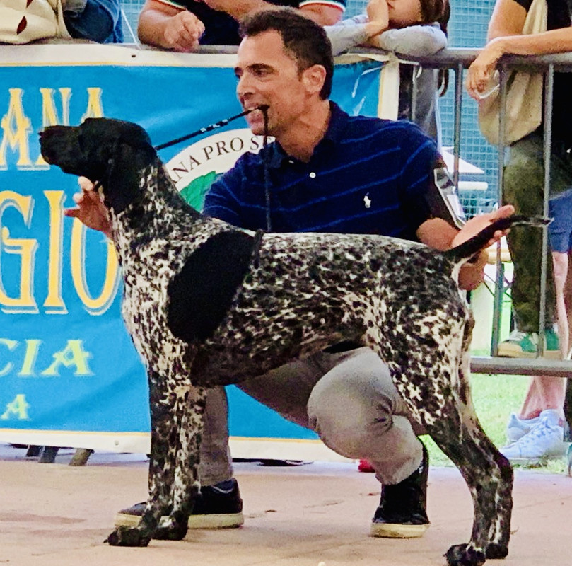 227D7C63-B004-4ED7-90CD-688AFA5DE584