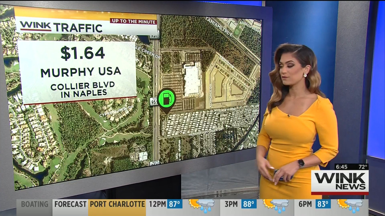 15 May - 11.00.00 - WINK News This Morning..ts_snapshot_27.52_[2020.05.15_23.36.15]