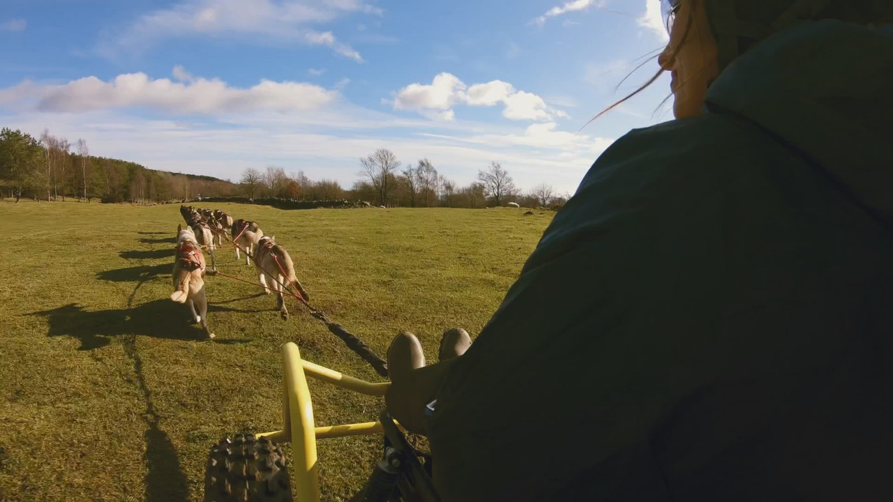 Landward.S00E03.ts_snapshot_26.31.254