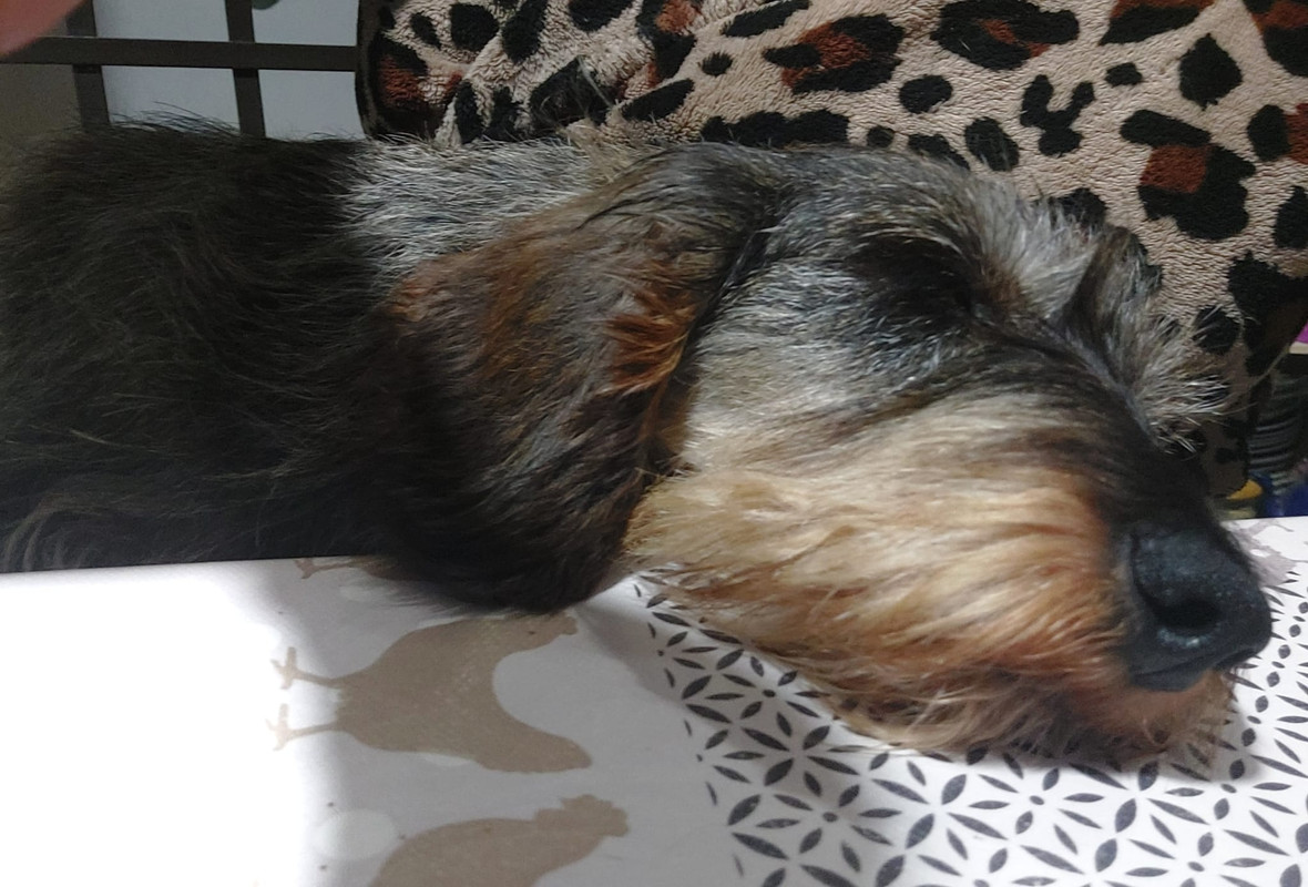 [Image: IMG-20251012-WA0003.jpg]