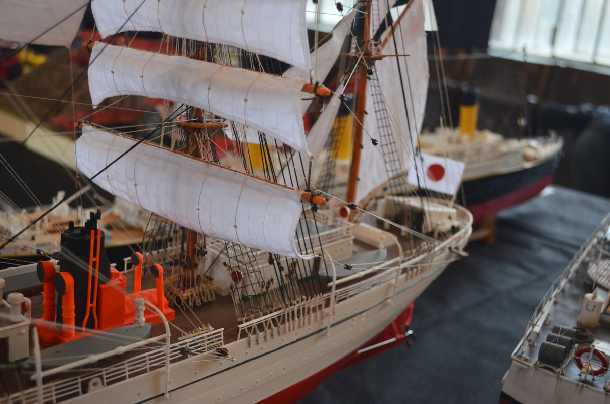 Žamberecký divočák 2019 029