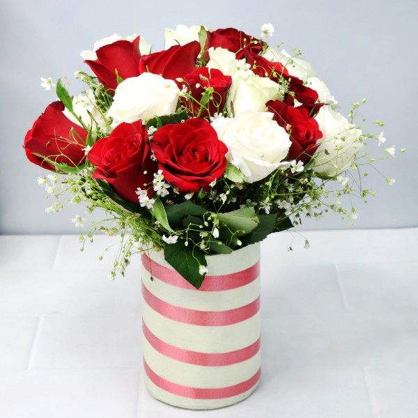 red White Carnation  Image