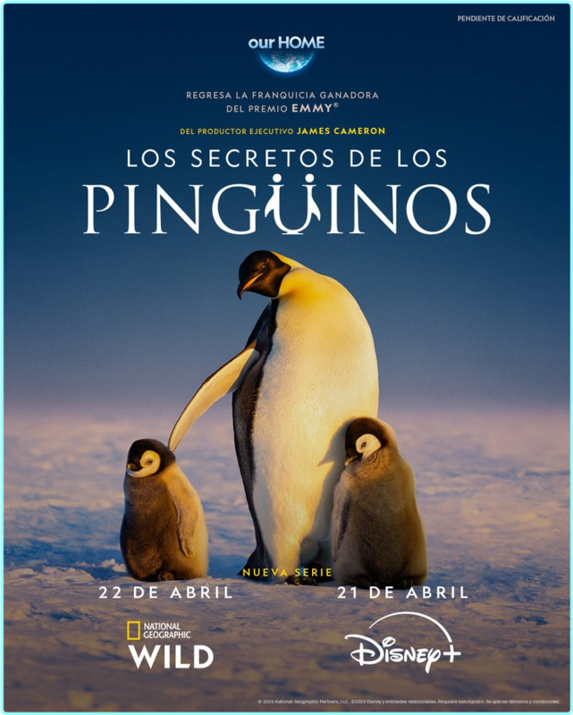 [Image: 04j3enkp3qvb.png]