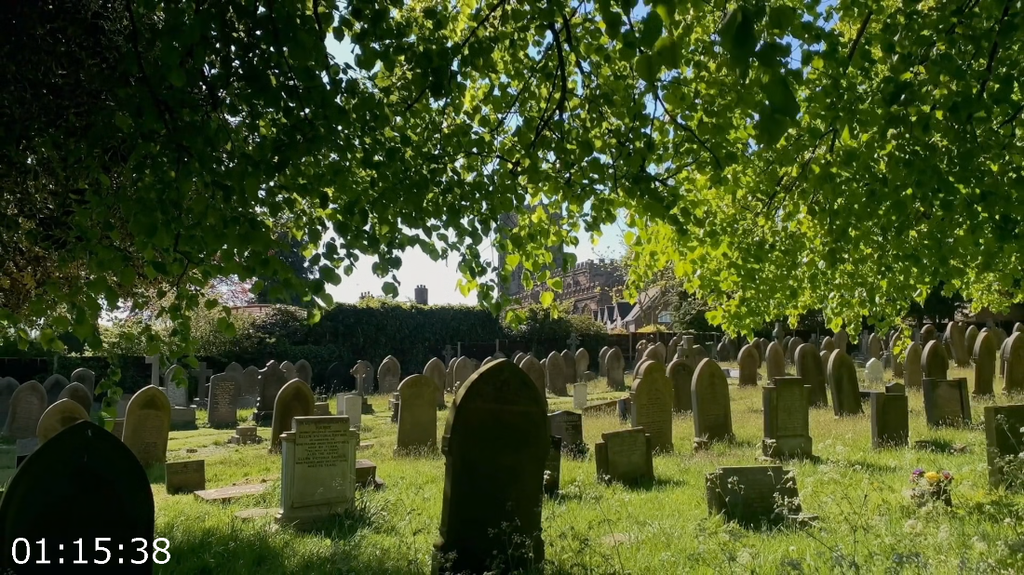 [Image: oz42pmqdag12.png]