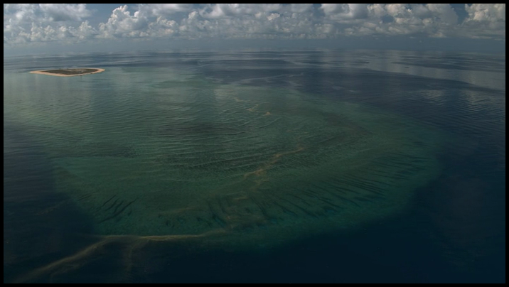 [Image: wcq9m90l0ink.png]