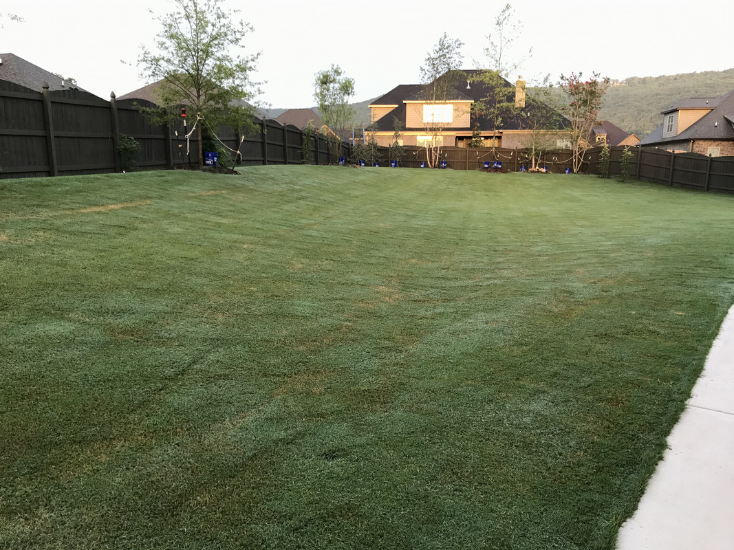 9B0A5851-18C9-4871-833E-E108BDEAC0A9