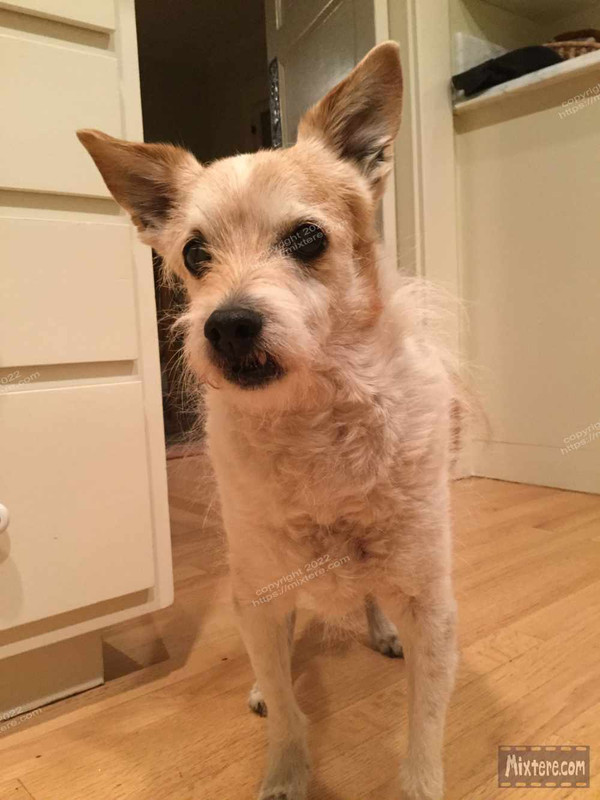 BBG&B2ItAllStartedWhenPics - 8