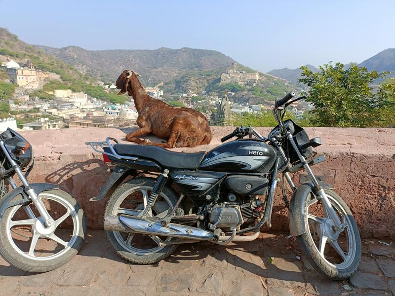 https://i.postimg.cc/3rLMpQ5Q/Jaipur-(56).jpg