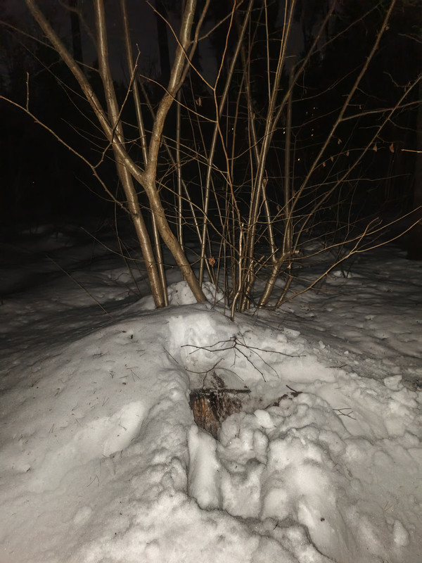 IMG 20260313 222718 484