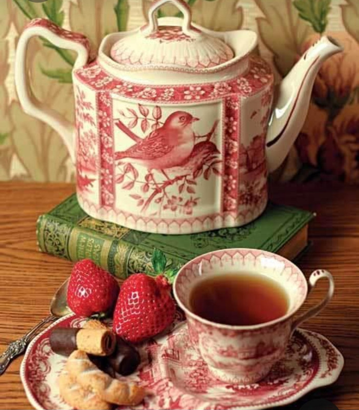 Screenshot_20230315_212427_Pinterest