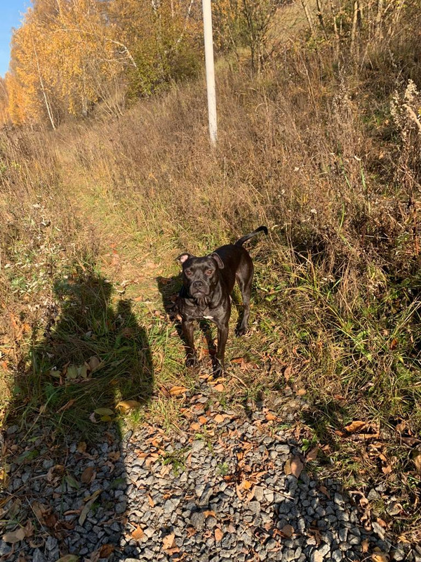 DB5FF80A-2217-4191-9D6F-FAB0777471DE