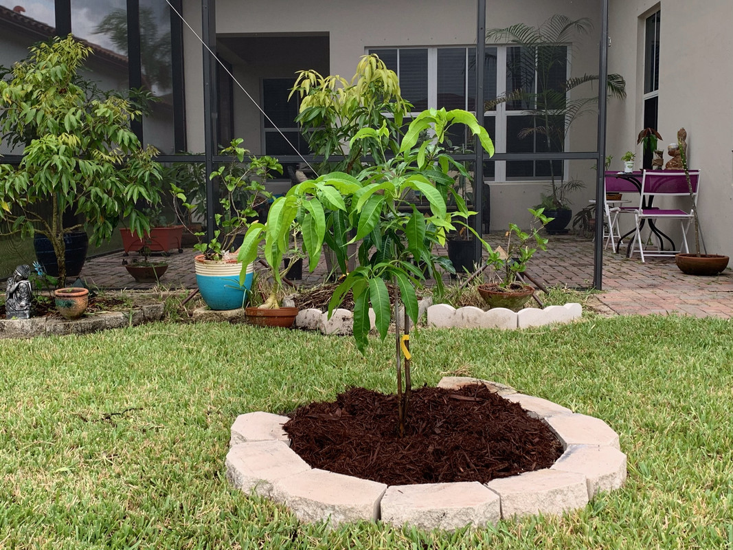 0A966393-E18C-4272-AB56-0AF246D069D6