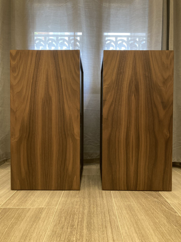 Re Veneer Speaker Matttroy