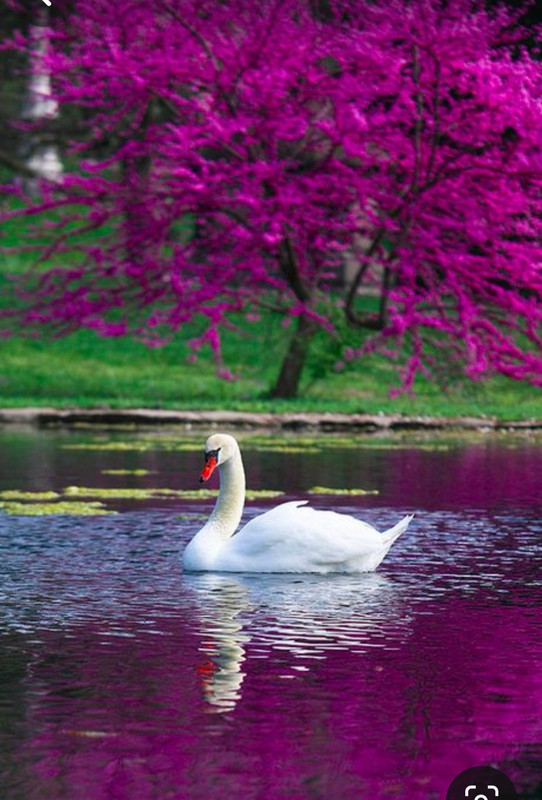 Screenshot_20230906_002238_Pinterest