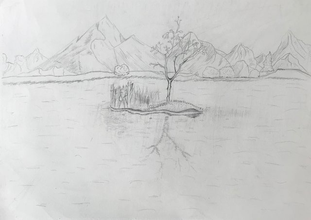 Гречихо Егор 8кл Одинокая березка