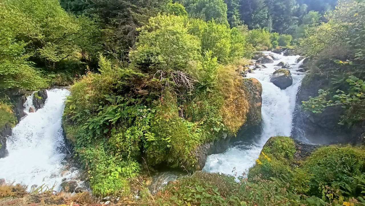 IMG20250818162730 (Large)