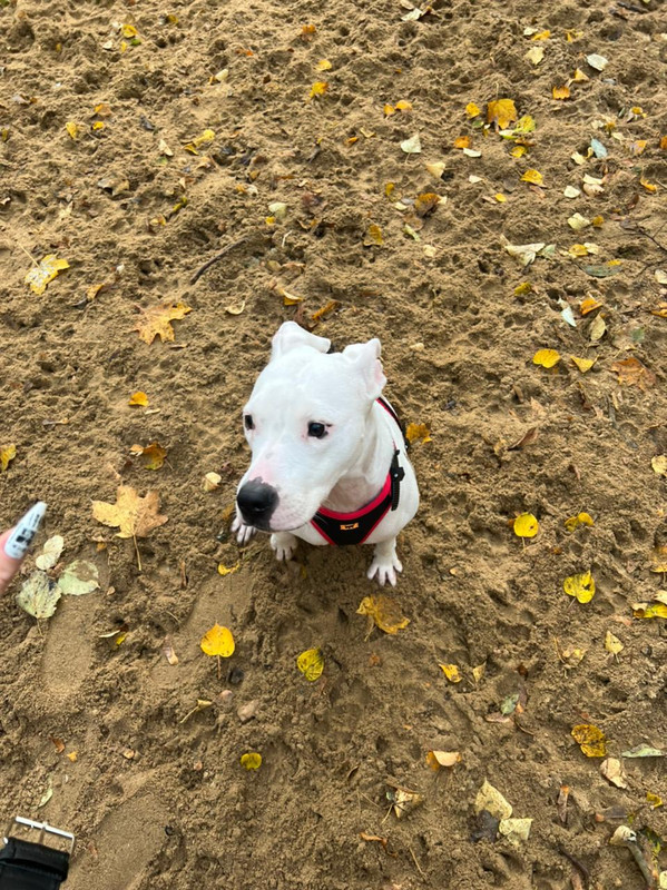 B4890628-03CC-41CA-B6CF-62C1882E5E5E