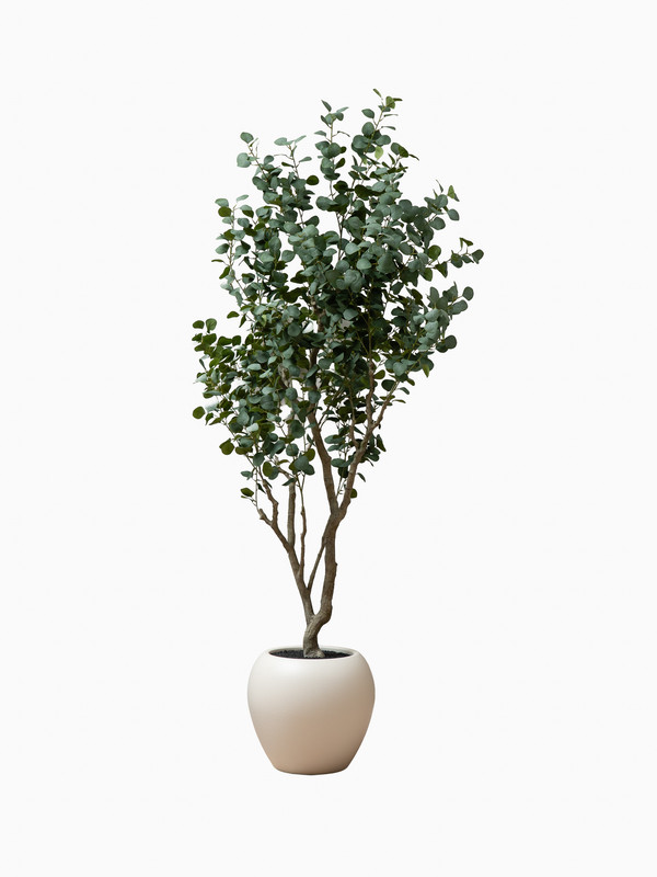 SEL1413 WB 01 3x4 20251201