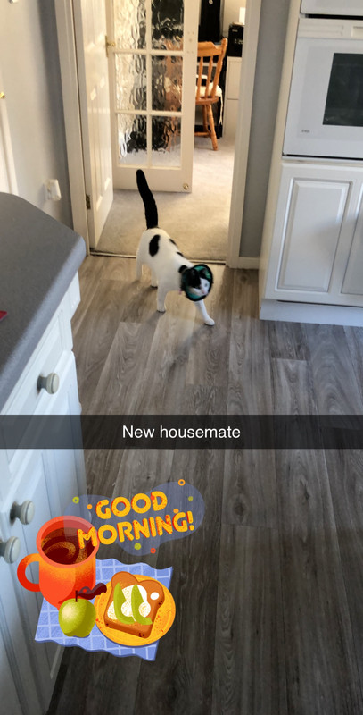 7D64F1C1-FD10-4F38-87BD-80DD56369697