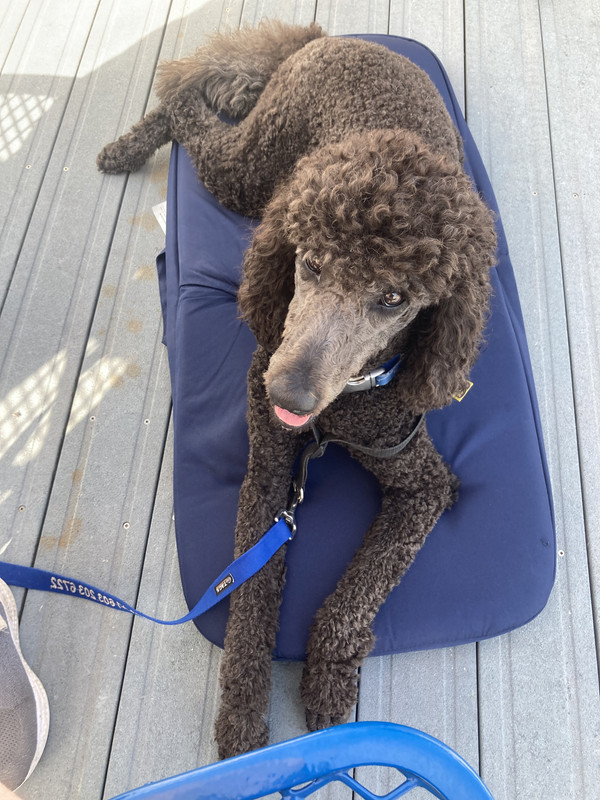 2E1F6B22-AC61-4375-8BEB-A8A43535F8F4