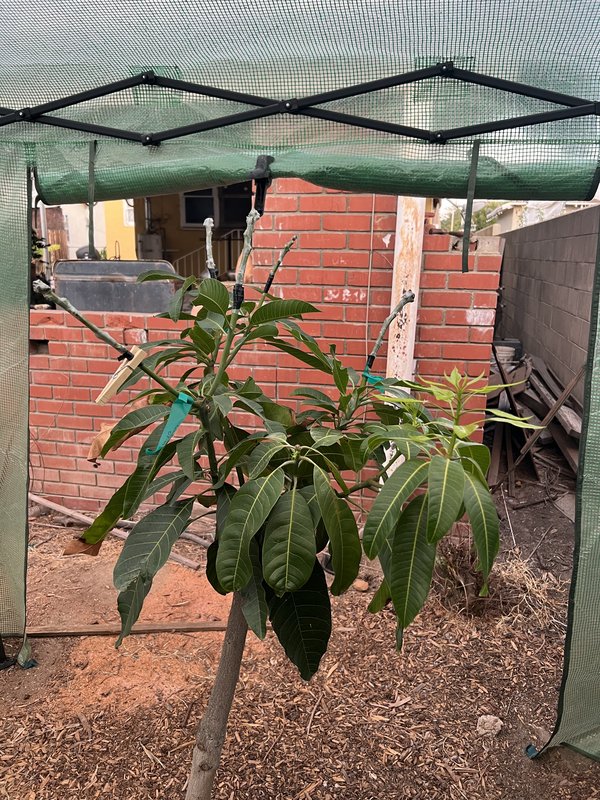 2C58A8BD-67EC-4110-8EB8-89141DC77772