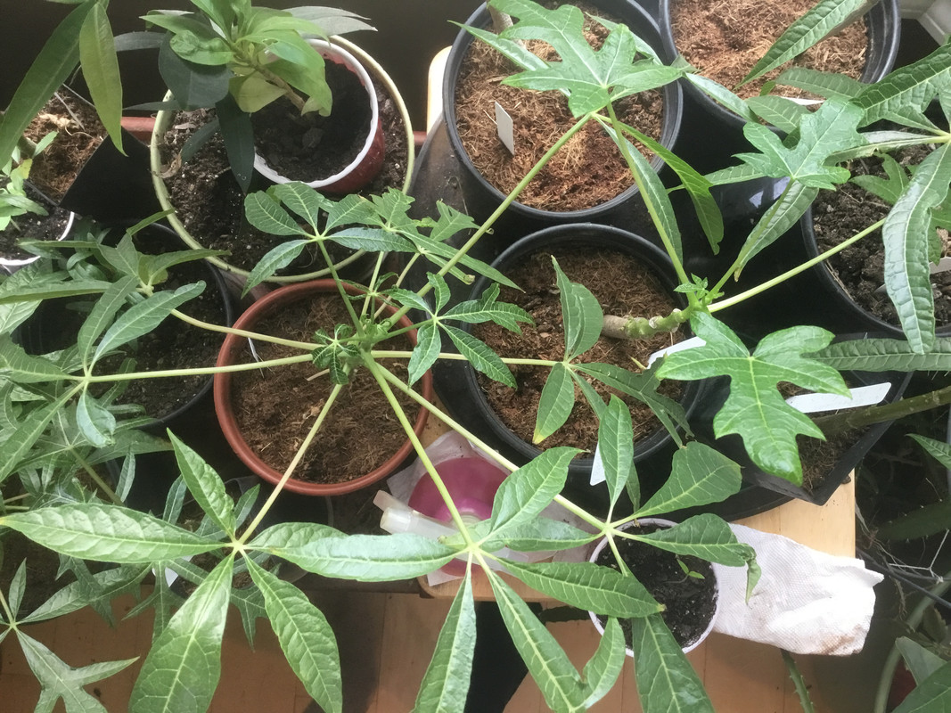 B43E6862-57E4-4831-B64E-321731E4B38A