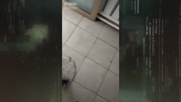 [Image: jxm9f1zq2o0k.png]