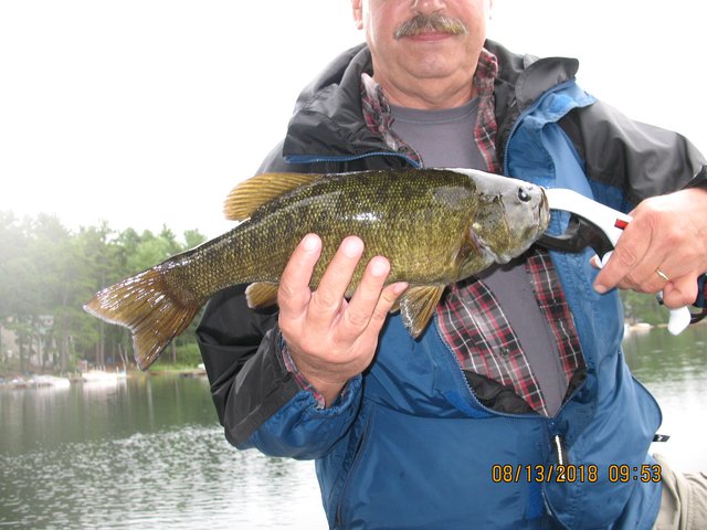 IMG-1579.jpg