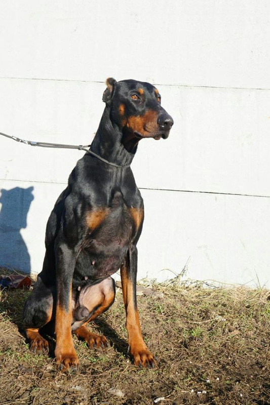 47685430_354992841899057_5826183434069868544_n