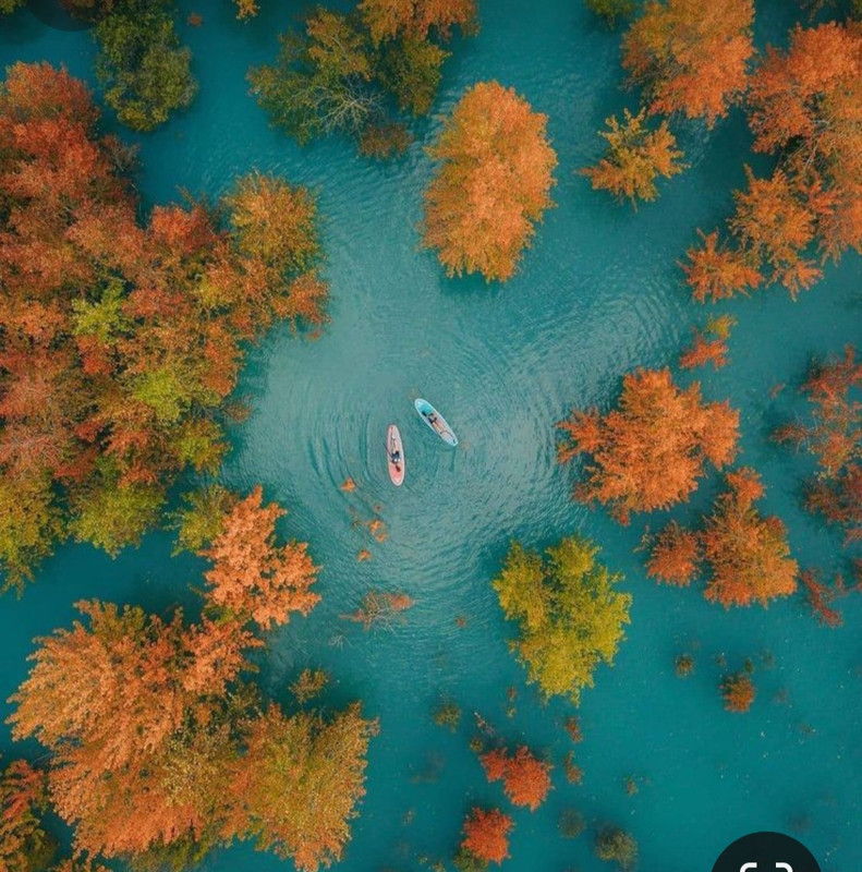 Screenshot_20231128_181421_Pinterest