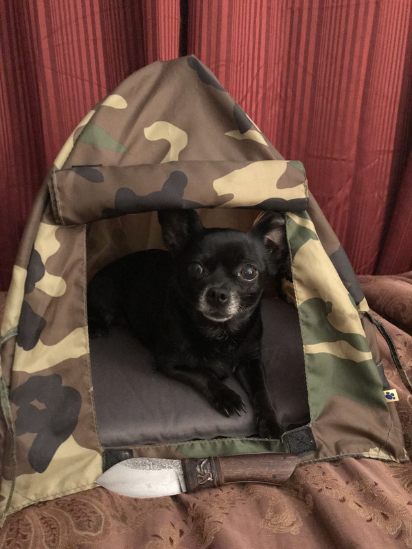 5663C9E0-6A9A-417B-934F-C6FFB6F2079D