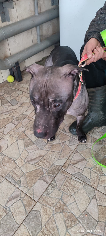 WhatsApp Image 2024-02-23 at 15.23.35 (2)