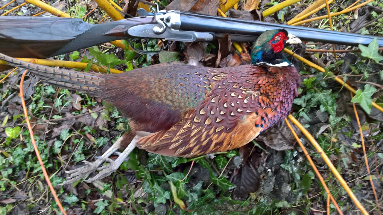 WP_20161215_15_02_55_Pro (2)