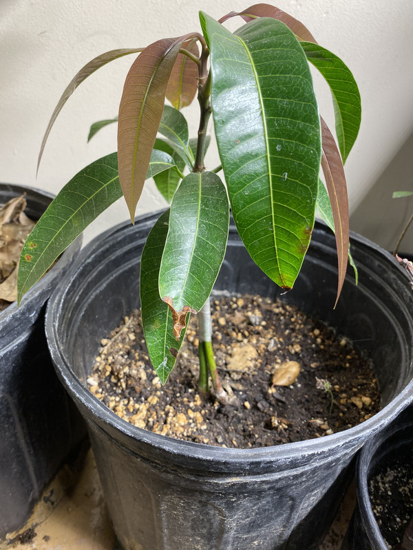 DDF3D85A-3B9A-4B07-BE15-B760973B2032