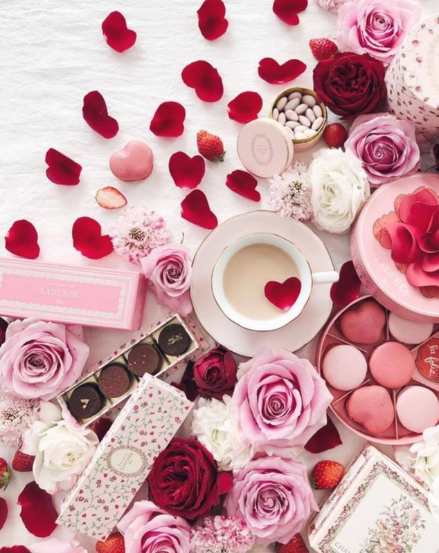 Screenshot_20230211_011256_Chrome